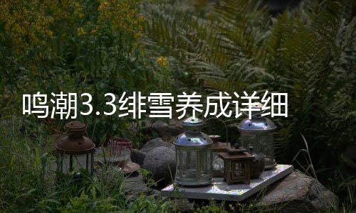 鸣潮雪养细攻3绯略成详